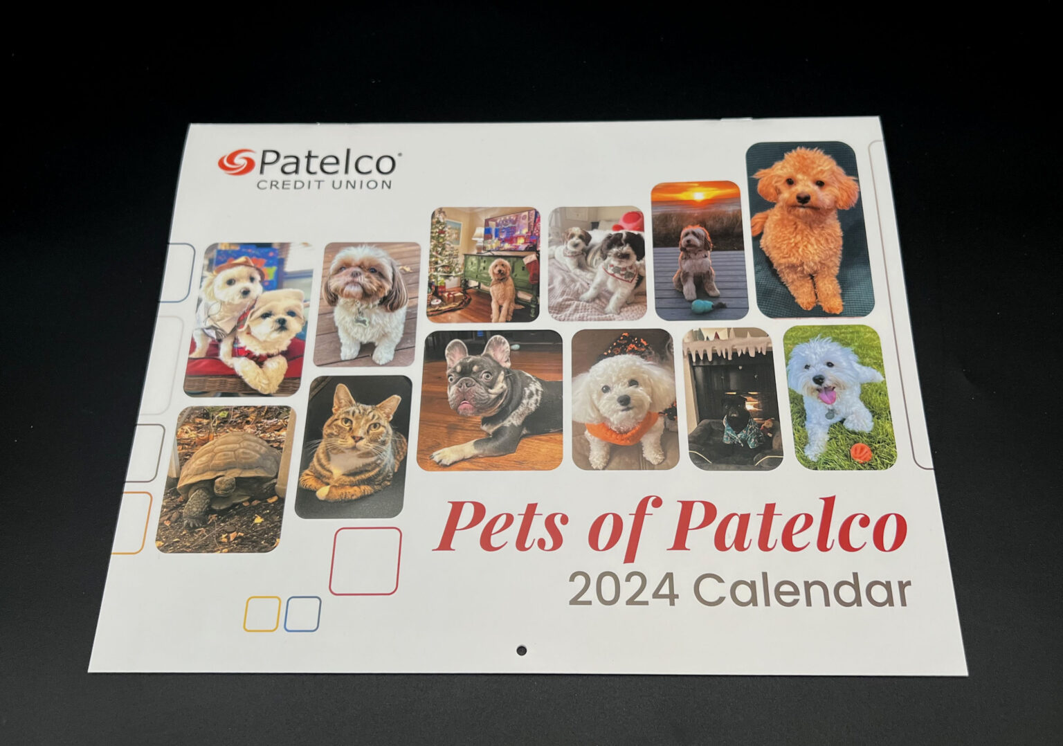 Make Every Day Count in 2026 with Custom Calendars | Calitho Printing ...